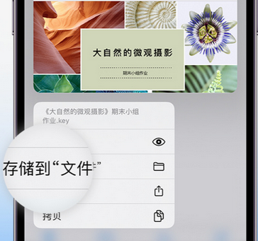 和平镇apple维修中心分享iPhone文件应用中存储和找到下载文件