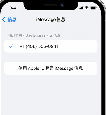 和平镇apple维修iPhone上无法正常发送iMessage信息 