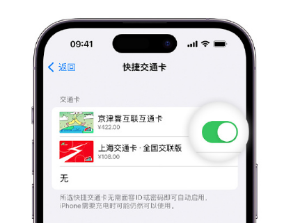 和平镇apple维修点分享iPhone上更换Apple Pay快捷交通卡手绘卡面 