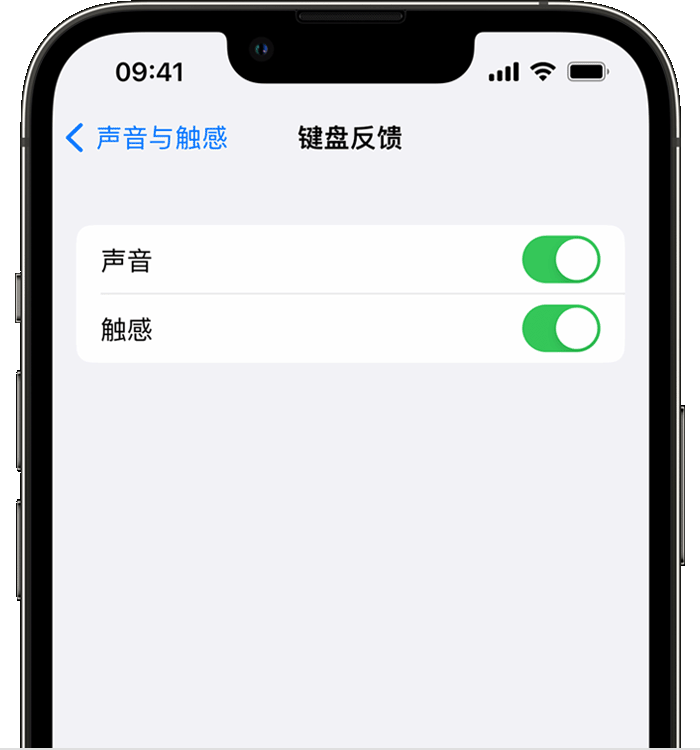 和平镇苹果14维修店分享如何在 iPhone 14 机型中使用触感键盘 