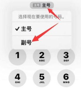 和平镇苹果14维修店分享iPhone 14 Pro Max使用副卡打电话的方法 