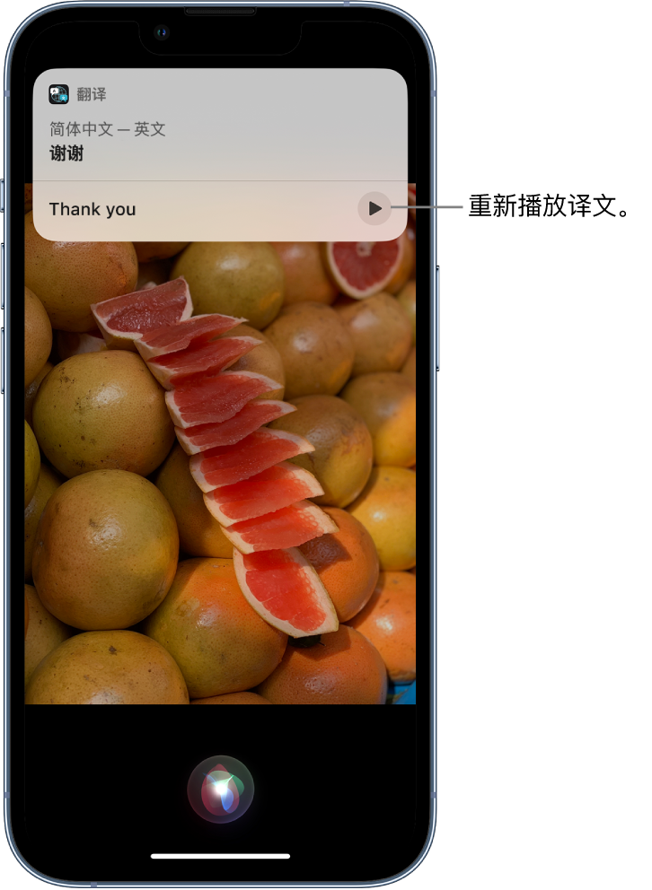 和平镇苹果14维修分享 iPhone 14 机型中使用 Siri：了解 Siri 能帮你做什么 