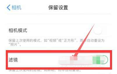 和平镇苹果13维修分享iPhone13拍照有绿点是怎么回事 