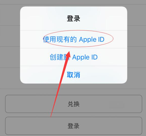 和平镇苹果手机维修分享两台iPhone设备可以同时登录一个Apple ID吗 