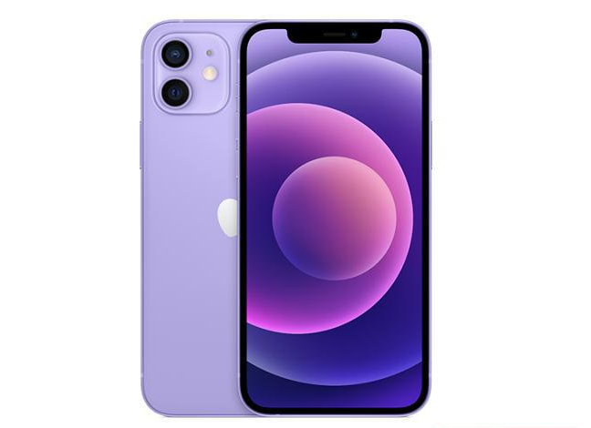 和平镇苹果手机维修分享现阶段要不要入手紫色版iPhone12 