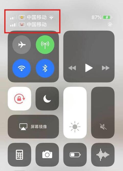 和平镇苹果手机维修分享为 iPhone 12 双卡设置标签 