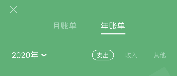 和平镇苹果手机维修分享如何在 iPhone 上查看支付宝和微信年支出账单 