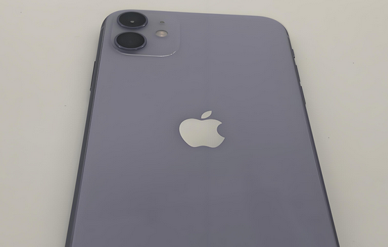 和平镇苹果11系统维修分享iPhone11手机系统崩溃无法开机如何解决